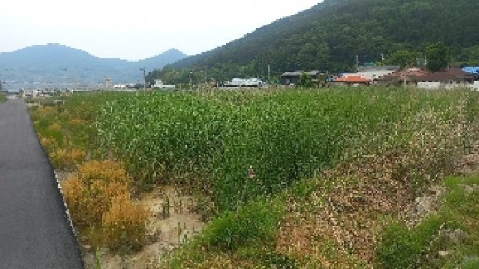 경남 거제시 거제면 답 경매 물건 사진