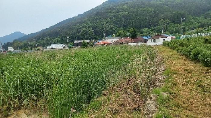 경남 거제시 거제면 답 경매 물건 사진 2 · 2025타경21442