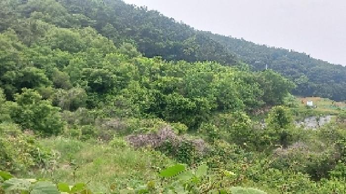 경남 거제시 거제면 답 경매 물건 사진