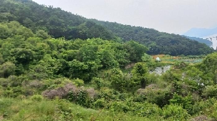 경남 거제시 거제면 답 경매 물건 사진 2 · 2025타경21445
