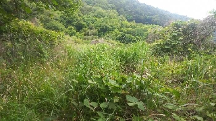 경남 거제시 거제면 답 경매 물건 사진 3 · 2025타경21445