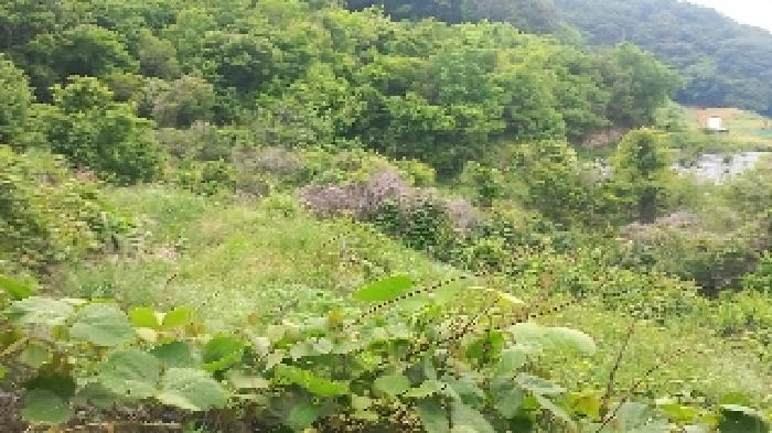 경남 거제시 거제면 답 경매 물건 사진 5 · 2025타경21445