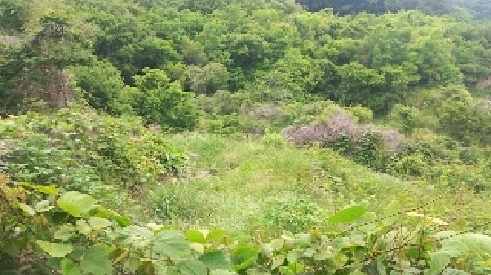 경남 거제시 거제면 답 경매 물건 사진 6 · 2025타경21445