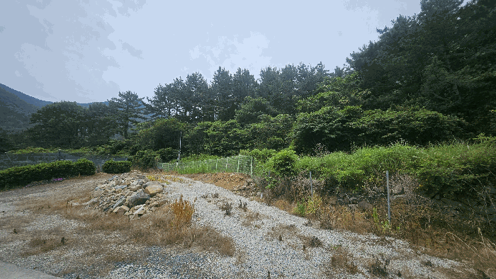 경남 거제시 사등면 임야 경매 물건 사진 5 · 2025타경21449