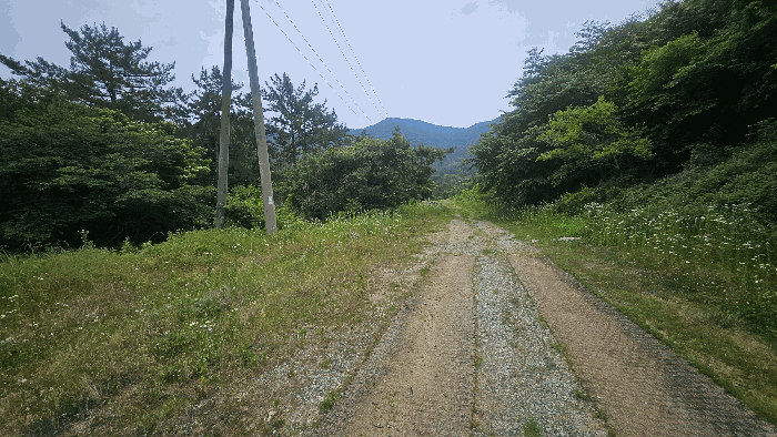 경남 거제시 사등면 임야 경매 물건 사진 6 · 2025타경21449