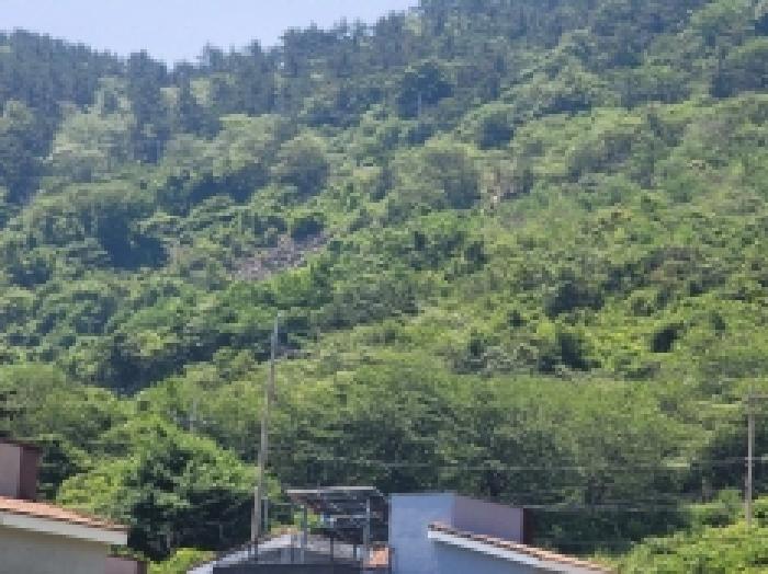 경남 거제시 사등면 임야 경매 물건 사진 3 · 2025타경21449