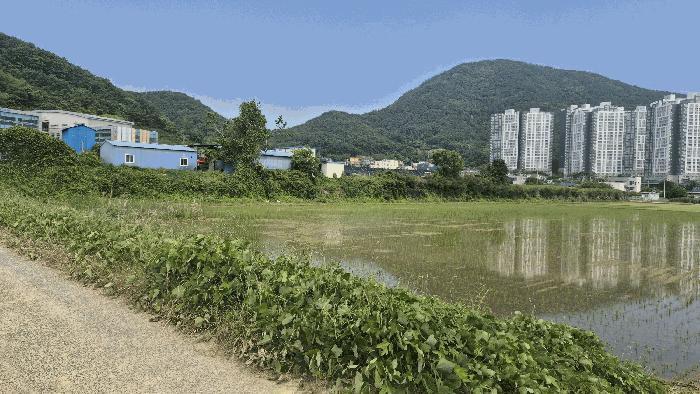 경남 거제시 양정동 답 경매 물건 사진 5 · 2025타경21453
