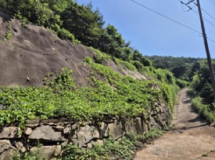 경남 고성군 고성읍 임야 경매 물건 사진 2 · 2025타경21475