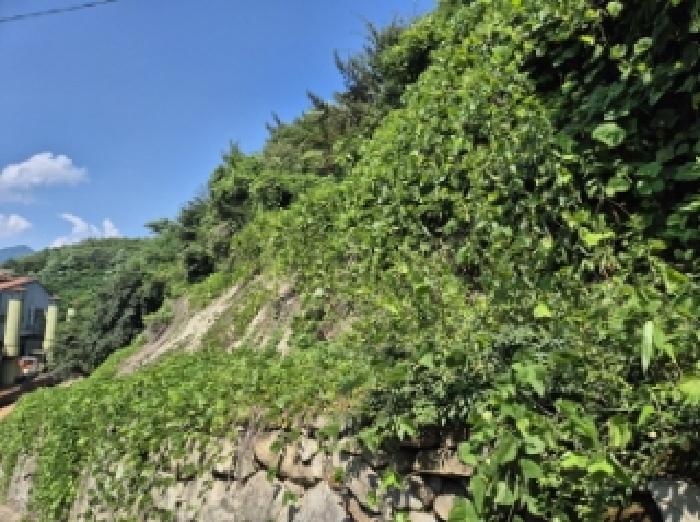 경남 고성군 고성읍 임야 경매 물건 사진 3 · 2025타경21475