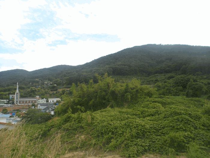 경남 거제시 사등면 임야 경매 물건 사진 4 · 2025타경21483