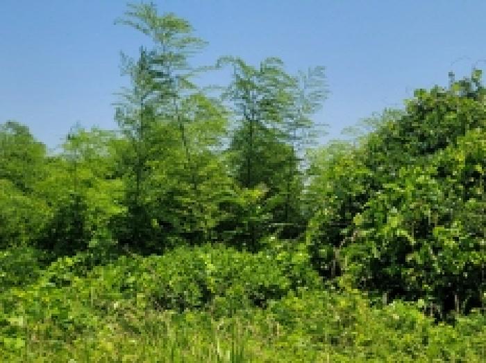 경남 거제시 사등면 임야 경매 물건 사진 2 · 2025타경21483