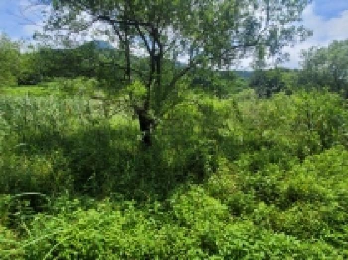 경남 거제시 둔덕면 답 경매 물건 사진 2 · 2025타경21485