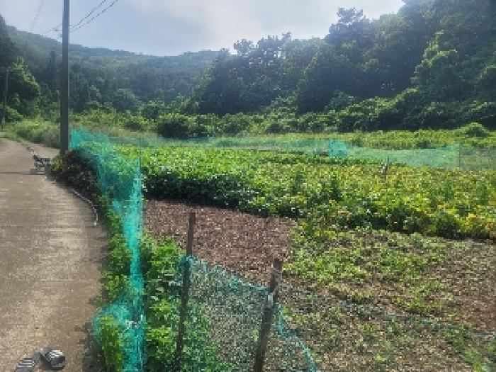 경남 통영시 산양읍 전 경매 물건 사진
