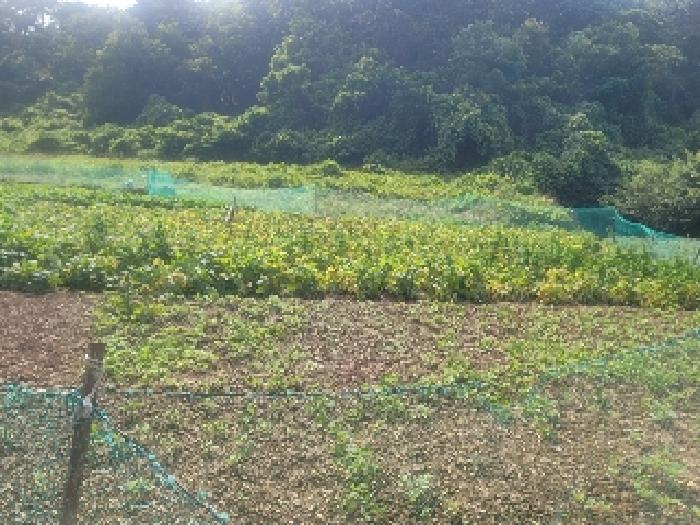 경남 통영시 산양읍 전 경매 물건 사진 2 · 2025타경21491