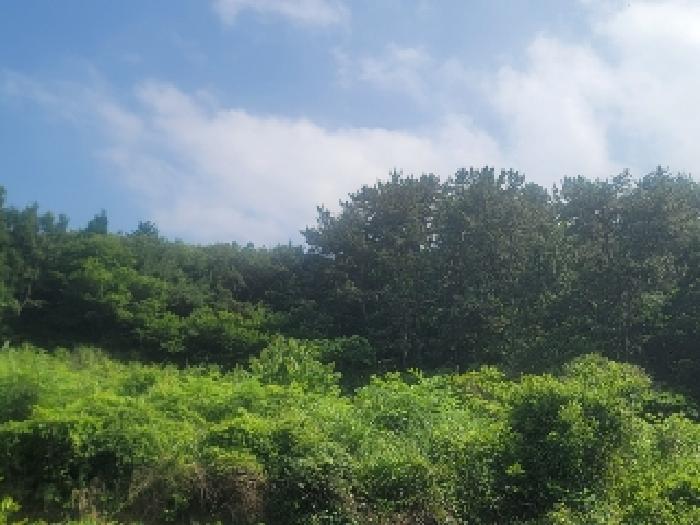 경남 통영시 산양읍 전 경매 물건 사진 3 · 2025타경21491