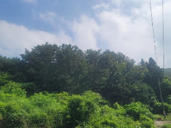 경남 통영시 산양읍 전 경매 물건 사진 4 · 2025타경21491