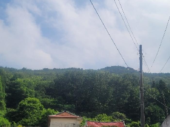 경남 통영시 산양읍 전 경매 물건 사진 5 · 2025타경21491
