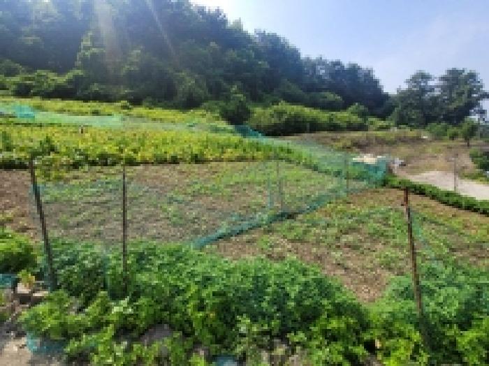 경남 통영시 산양읍 전 경매 물건 사진 6 · 2025타경21491