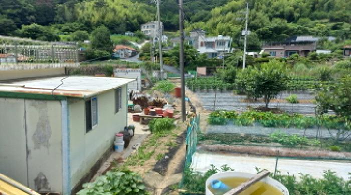 경남 거제시 연초면 답 경매 물건 사진 5 · 2025타경21497