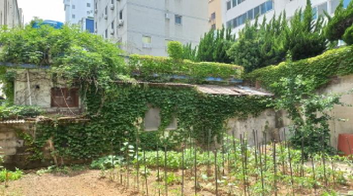 경남 거제시 고현동 단독주택 경매 물건 사진