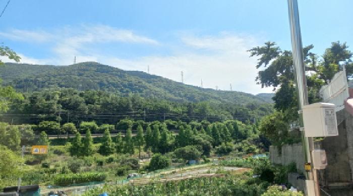 경남 거제시 장평동 임야 경매 물건 사진