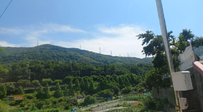 경남 거제시 장평동 임야 경매 물건 사진 2 · 2025타경21529