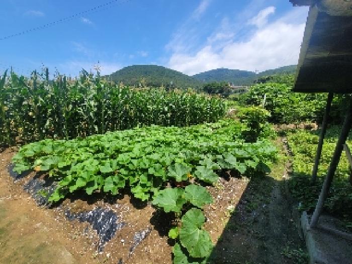 경남 거제시 둔덕면 대지,임야,전답 경매 물건 사진 6 · 2025타경21530