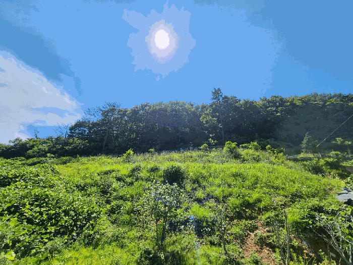 경남 거제시 양정동 임야 경매 물건 사진 3 · 2025타경21537