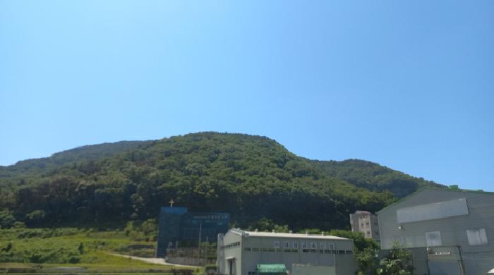 경남 거제시 양정동 임야 경매 물건 사진