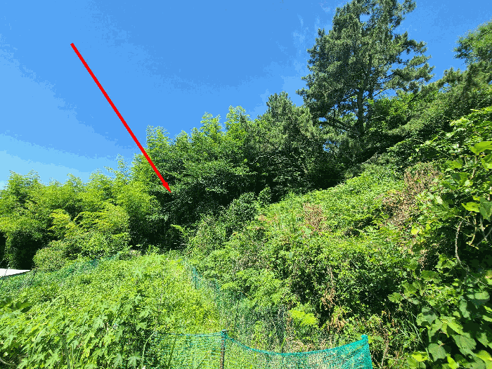 경남 거제시 장목면 전 경매 물건 사진 3 · 2025타경21551