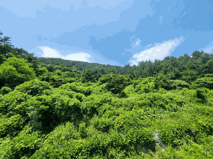 경남 통영시 산양읍 답 경매 물건 사진 6 · 2025타경21555