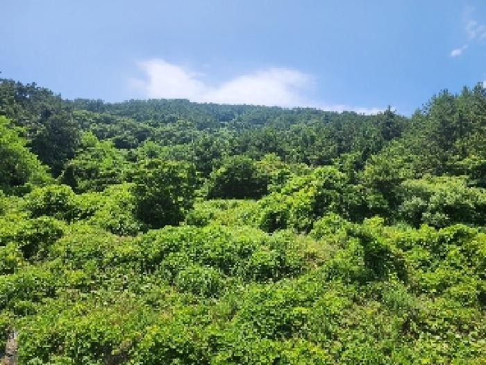 경남 통영시 산양읍 답 경매 물건 사진
