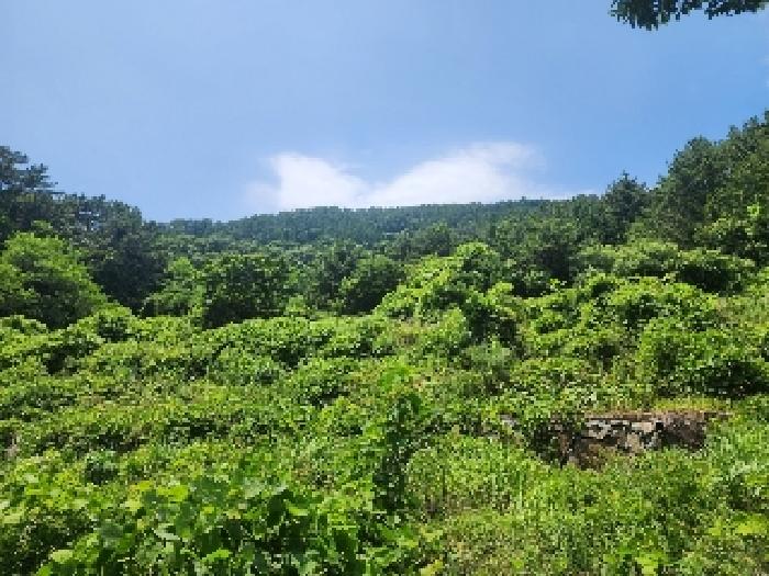 경남 통영시 산양읍 답 경매 물건 사진 2 · 2025타경21555