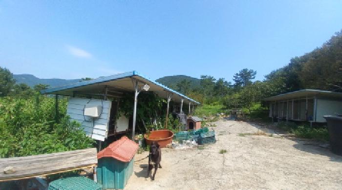 경남 거제시 거제면 임야 경매 물건 사진