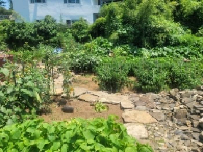경남 통영시 당동 대지 경매 물건 사진 6 · 2025타경21613