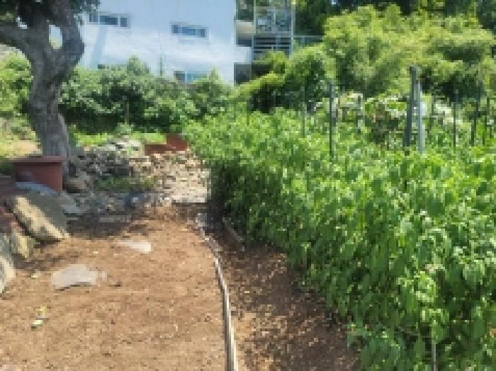 경남 통영시 당동 대지 경매 물건 사진 2 · 2025타경21613