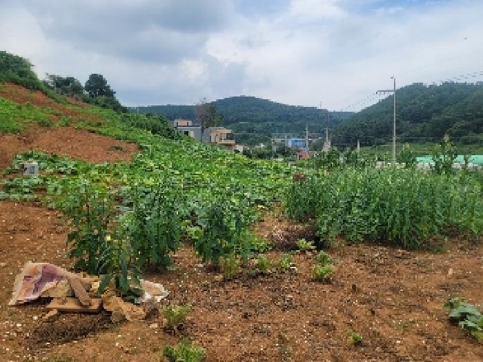 경남 통영시 용남면 전답 경매 물건 사진