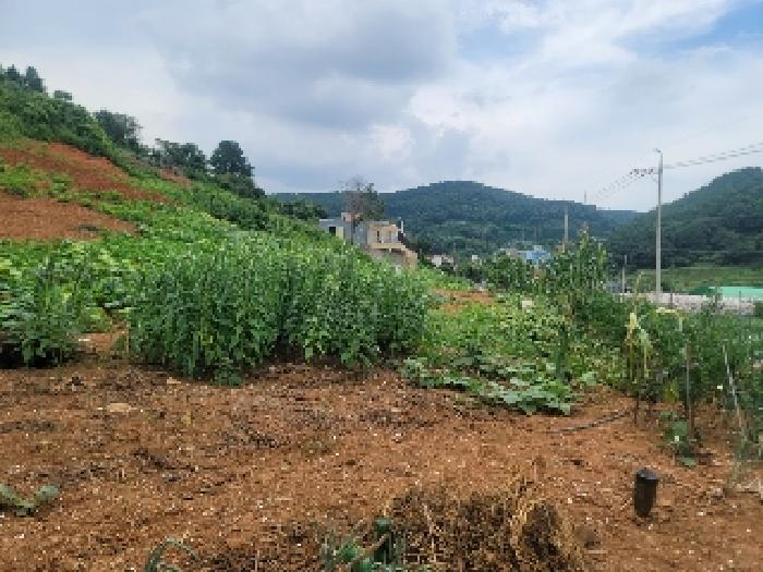 경남 통영시 용남면 전답 경매 물건 사진 2 · 2025타경21623