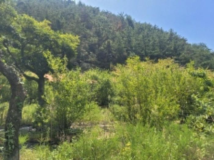경남 거제시 둔덕면 동물및식물관련시설 경매 물건 사진 2 · 2025타경21644