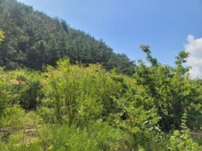 경남 거제시 둔덕면 동물및식물관련시설 경매 물건 사진 5 · 2025타경21644