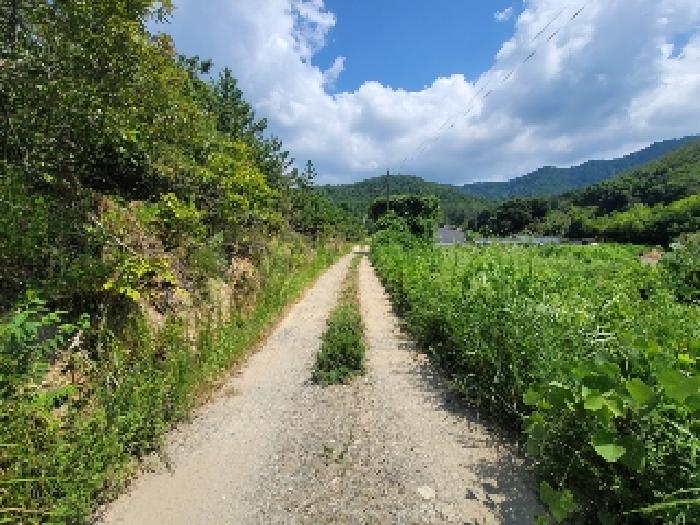 경남 거제시 둔덕면 임야 경매 물건 사진 3 · 2025타경21667