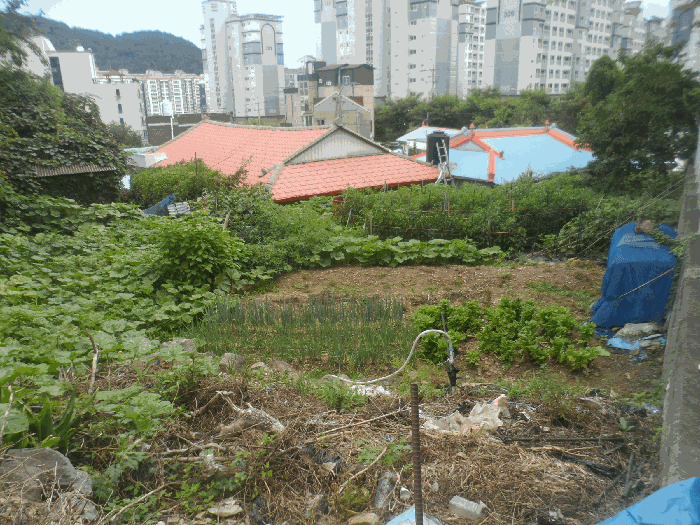 경남 거제시 아주동 대지 경매 물건 사진 5 · 2025타경21683