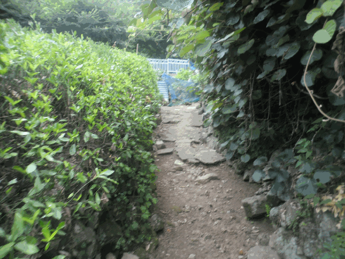 경남 거제시 아주동 대지 경매 물건 사진 6 · 2025타경21683