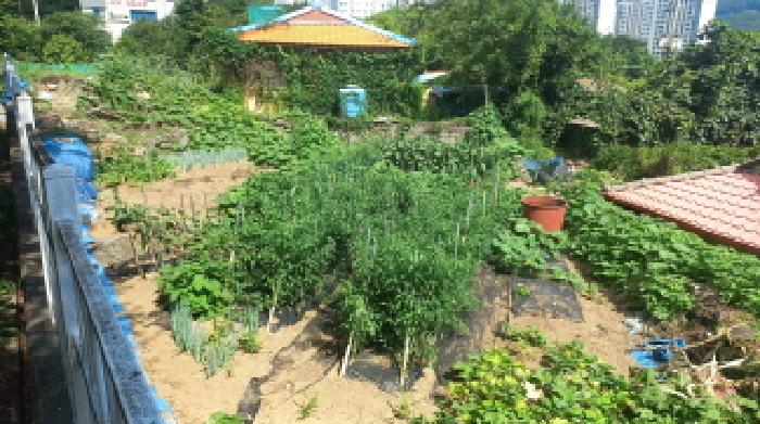 경남 거제시 아주동 대지 경매 물건 사진