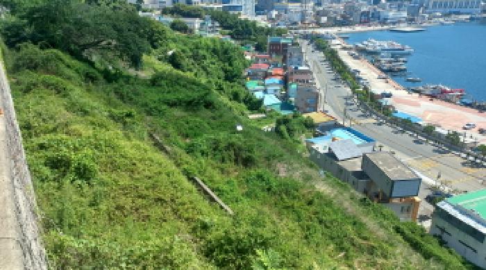 경남 거제시 장승포동 임야 경매 물건 사진