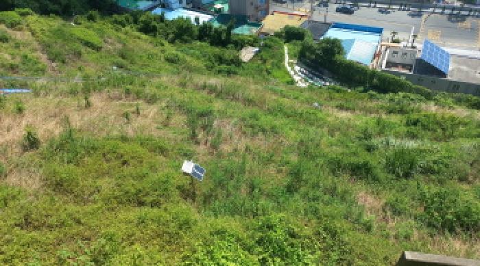 경남 거제시 장승포동 임야 경매 물건 사진 4 · 2025타경21702