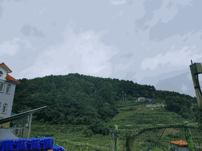 경남 통영시 산양읍 임야 경매 물건 사진 5 · 2025타경21735