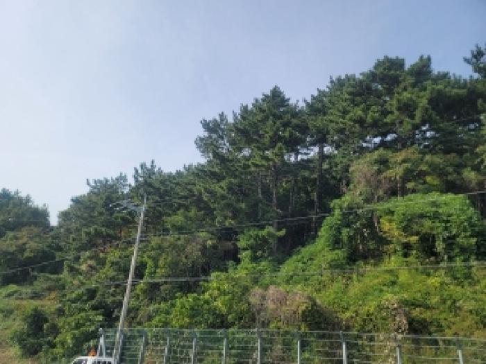 경남 통영시 산양읍 임야 경매 물건 사진