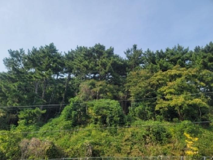 경남 통영시 산양읍 임야 경매 물건 사진 2 · 2025타경21735