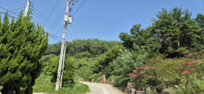 경남 고성군 하일면 임야 경매 물건 사진
